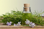 Сlipart bach apothecary remedy naturopathic natural   BillionPhotos