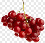 Сlipart grape bunch background berry branch photo cut out BillionPhotos
