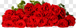 Сlipart Rose Valentine's Day Flower Red Bouquet photo cut out BillionPhotos