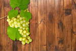Сlipart Grape Vine Frame Fruit Backgrounds   BillionPhotos