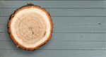 Сlipart Wood Log Tree Trunk Tree Portion   BillionPhotos