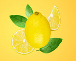 Сlipart lemon fly assortment background bright   BillionPhotos
