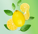 Сlipart lemon fly assortment background bright   BillionPhotos