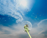 Сlipart Dandelion Nature Change Single Flower Flower   BillionPhotos