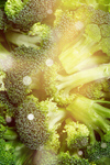 Сlipart broccoli background food fresh vegetable   BillionPhotos