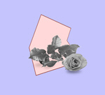 Сlipart collage flower background abstract banner   BillionPhotos