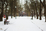 Сlipart winter park white snow wintertime photo  BillionPhotos