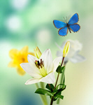 Сlipart nature abstract art background beautiful   BillionPhotos