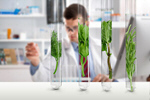 Сlipart plant pharmacology laboratory research science   BillionPhotos