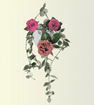 Сlipart flower banner background blossom bouquet branch   BillionPhotos