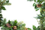 Сlipart Christmas Frame Winter Pine Cone Wreath   BillionPhotos