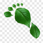 Сlipart Environment Green Environmental Conservation Leaf Footprint 3d cut out BillionPhotos