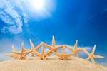 Сlipart starfish ocean beach 2014 tourism   BillionPhotos