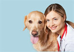 Сlipart veterinarian vet dog pet doctor   BillionPhotos