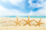 Сlipart beach starfish 2014 coco tourism   BillionPhotos