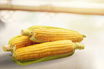 Сlipart corn white background one food   BillionPhotos