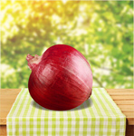 Сlipart onion red agriculture background clipping   BillionPhotos