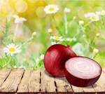 Сlipart onion red agriculture background clipping   BillionPhotos