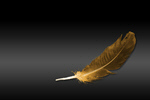 Сlipart feather golden abstract ancient angel   BillionPhotos