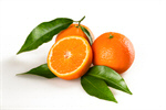 Сlipart Orange Orange Tangerine Leaf Mandarin Orange photo  BillionPhotos