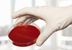 Сlipart Laboratory Petri Dish Research DNA Bacterium   BillionPhotos
