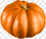 Сlipart Pumpkin Halloween Vegetable Isolated Single Object photo cut out BillionPhotos
