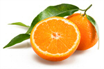 Сlipart Orange Orange Tangerine Leaf Mandarin Orange photo  BillionPhotos