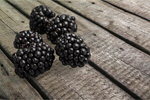 Сlipart blackberry background berry black blackberries   BillionPhotos