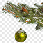 Сlipart Snow Christmas Branch Decoration Green photo cut out BillionPhotos