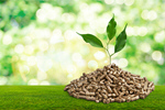 Сlipart biomass pellets wood plant photography   BillionPhotos