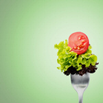 Сlipart Salad Fork Food Lettuce Tomato   BillionPhotos