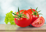 Сlipart tomato leaf background closeup drop   BillionPhotos