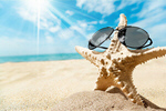 Сlipart Sunglasses Starfish Beach Shell Summer   BillionPhotos