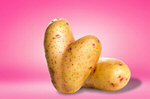Сlipart potato single background food nature   BillionPhotos