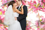 Сlipart Wedding Bride Groom Kissing Wedding Dress   BillionPhotos