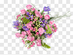Сlipart Bouquet Flower Arrangement Flower Rose Spring photo cut out BillionPhotos