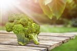 Сlipart broccoli agriculture autumn background botany   BillionPhotos