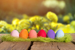 Сlipart easter spring holiday eggs garden   BillionPhotos
