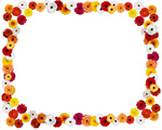 Сlipart Daisy Frame Gerbera Daisy Flower Bed Flower Head   BillionPhotos