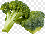 Сlipart Broccoli Vegetable Organic Isolated Healthy Eating photo cut out BillionPhotos