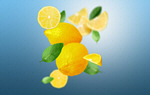 Сlipart lemon fly assortment background bright   BillionPhotos