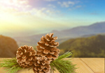 Сlipart Pine Pine Cone Christmas Decoration Decoration Isolated   BillionPhotos