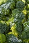 Сlipart Frozen Food Vegetable Broccoli Textured photo  BillionPhotos