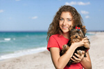 Сlipart dog family pet travel adult   BillionPhotos