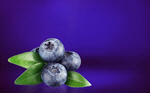 Сlipart leaf background berries air berry berry flying   BillionPhotos