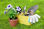 Сlipart Gardening Gardening Equipment Isolated Flower Pot Plant   BillionPhotos