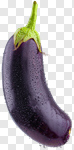 Сlipart eggplant aubergine white egg plant eggplant vegetable photo cut out BillionPhotos