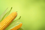 Сlipart corn maize sweet sweetcorn green   BillionPhotos