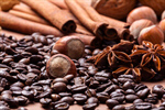 Сlipart Coffee Bean Spice Beige Black filbert photo  BillionPhotos