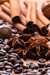 Сlipart Coffee Bean Spice Beige Black filbert photo  BillionPhotos
